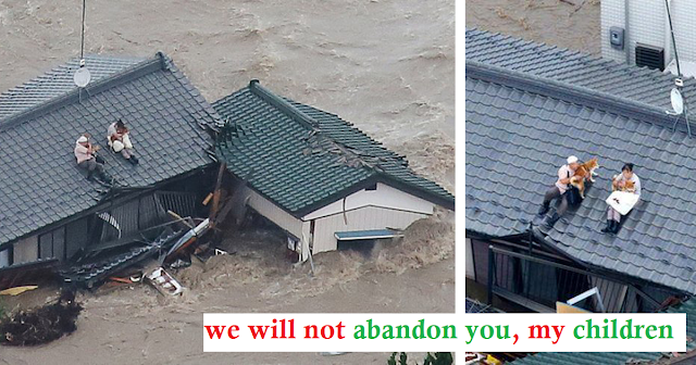 Heroic Rescue: Japanese Couple and Their Shiba Inus Saved from Catastrophic Flooding